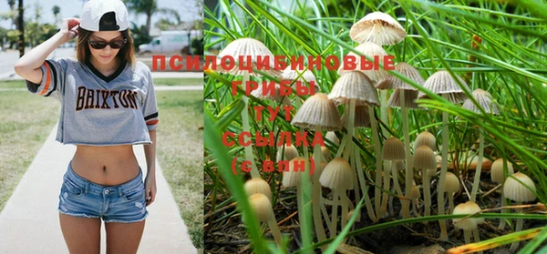 ешки Кинешма