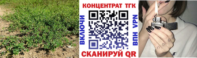 Купить  Аргун  ТГК THC oil 
