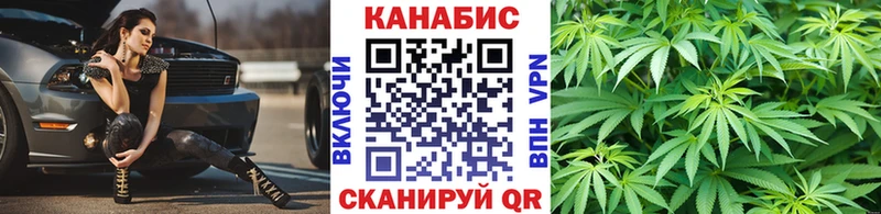 Конопля сатива  Купить  Аргун 